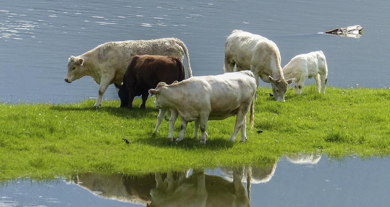 Financiële instrumenten voor klimaatadaptief bouwen