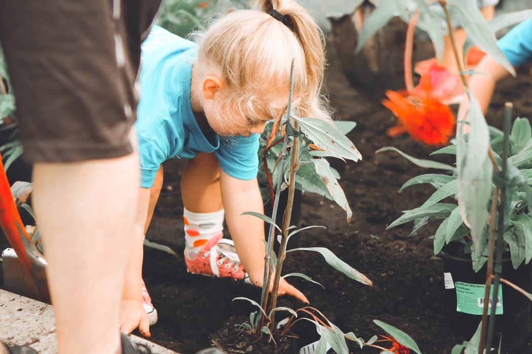 Van tegels naar planten: hoe verleiden we bewoners?