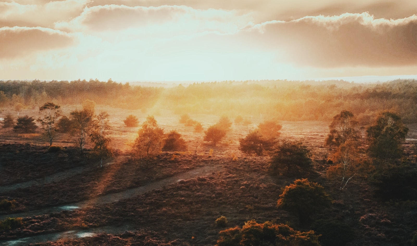 KAN Lunchcafé over Nederland Droogteland
