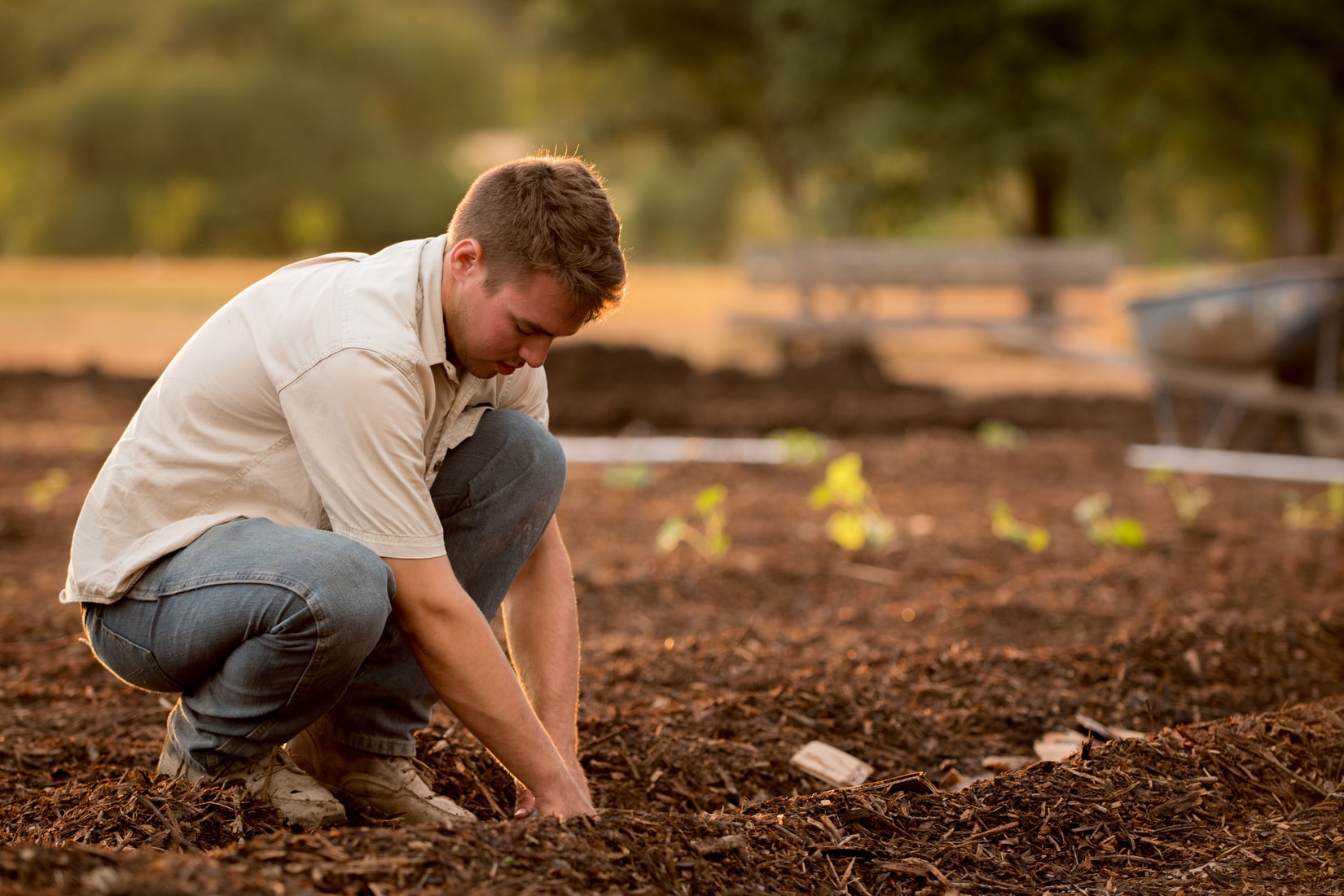 Vervolg op themagroep ‘Bewoners verleiden tot natuurinclusieve tuin’