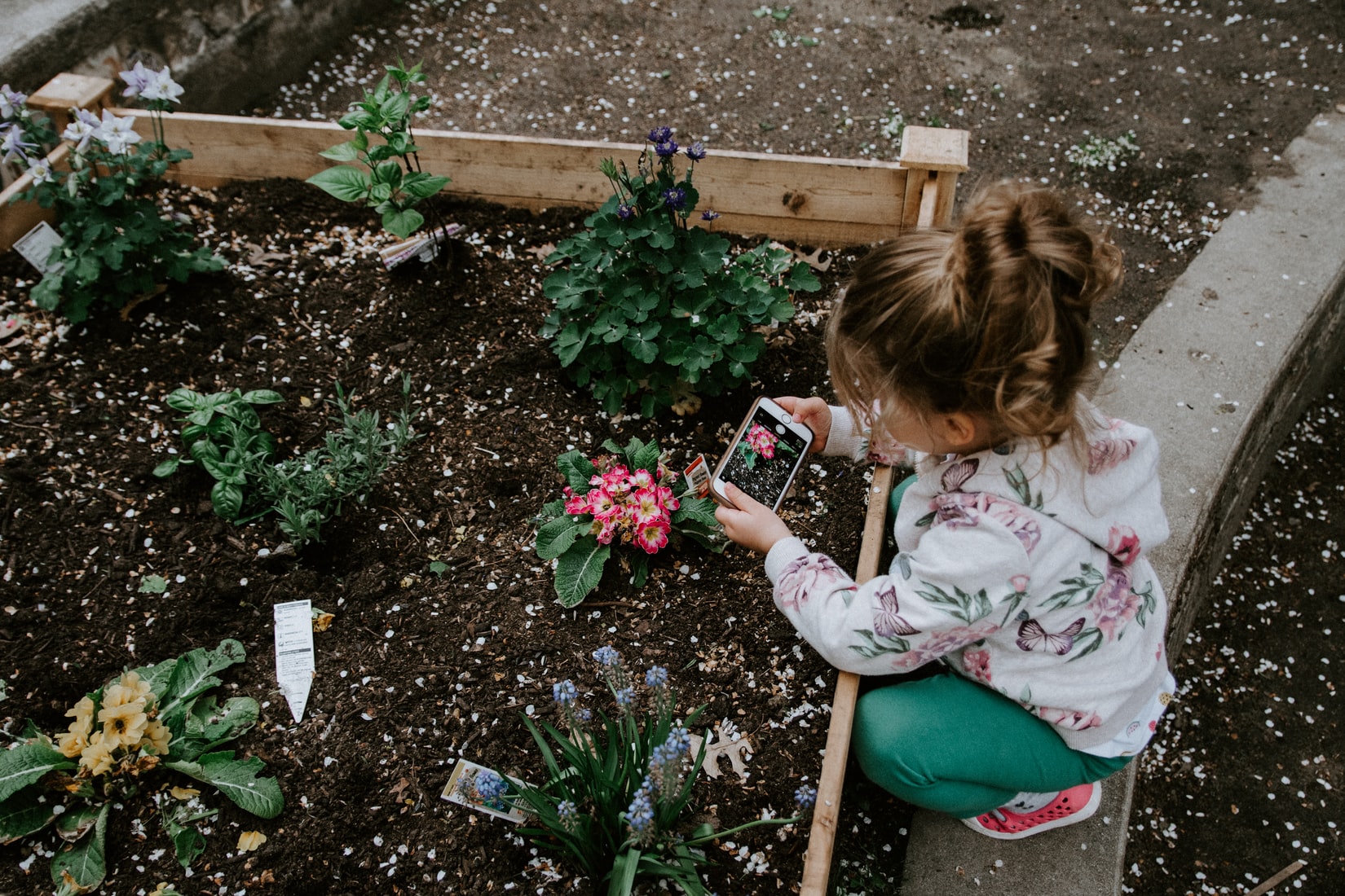 Bewoners verleiden tot natuurinclusieve tuin is niet 1-2-3 voor elkaar