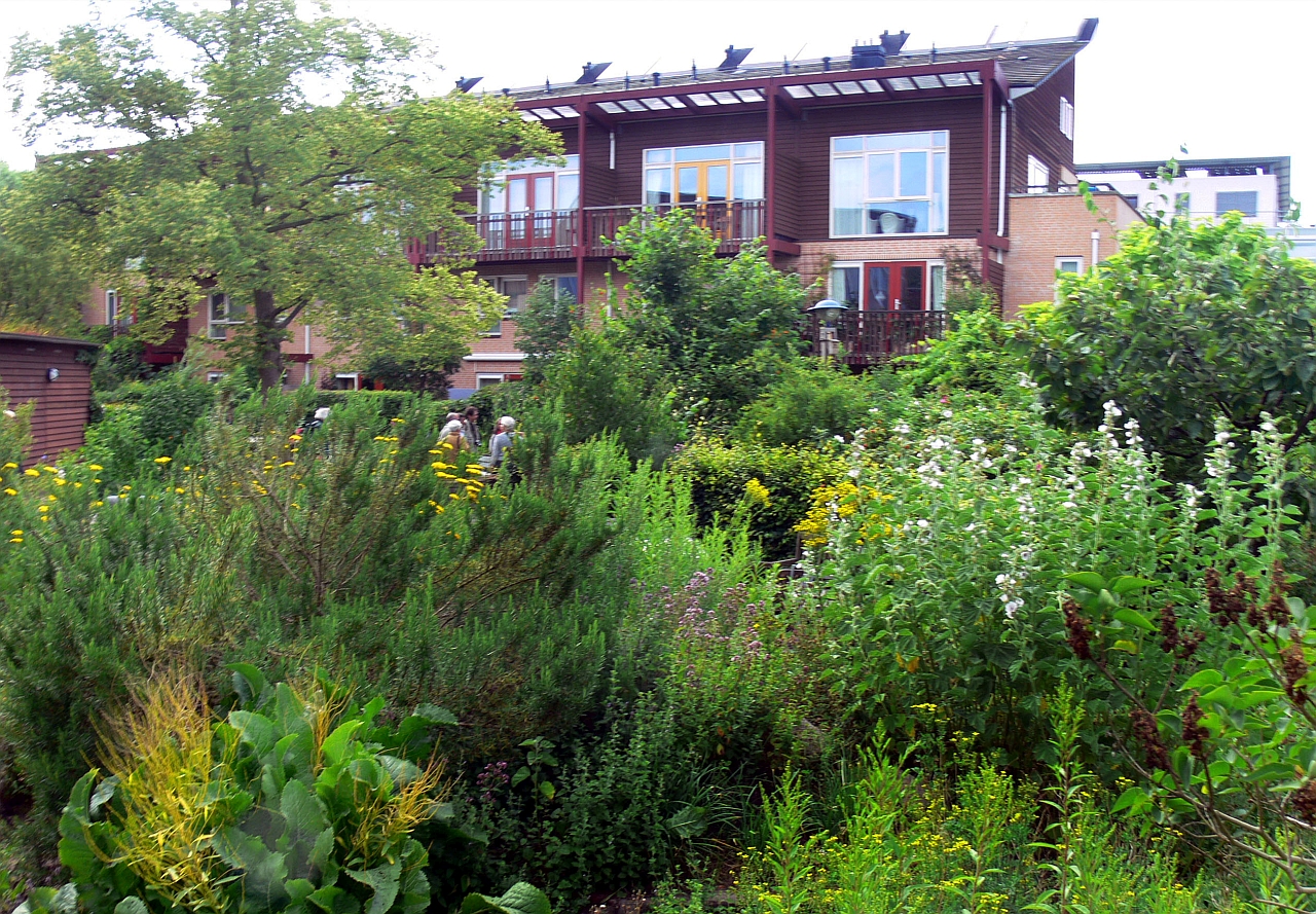 Conferentie “Zetje van Culemborg”