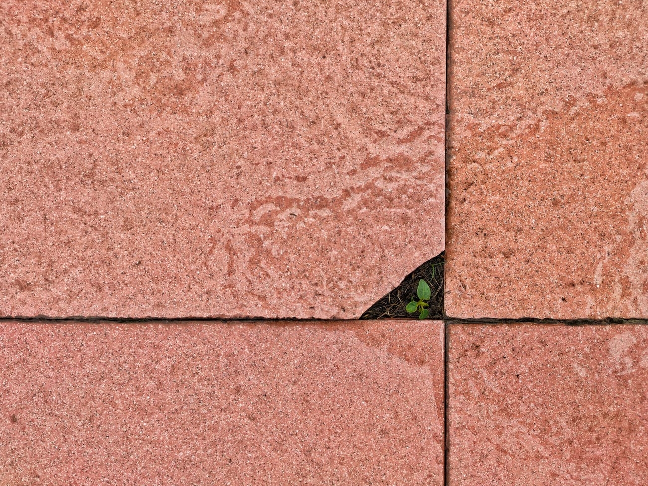 Wat maakt dat mensen stenen uit de tuin halen?