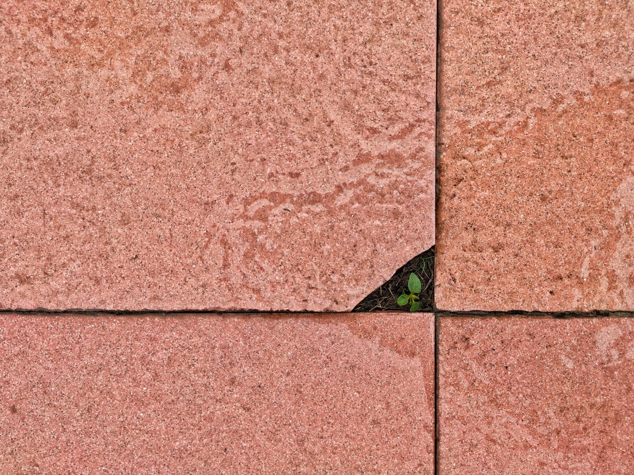 Wat maakt dat mensen stenen uit de tuin halen?