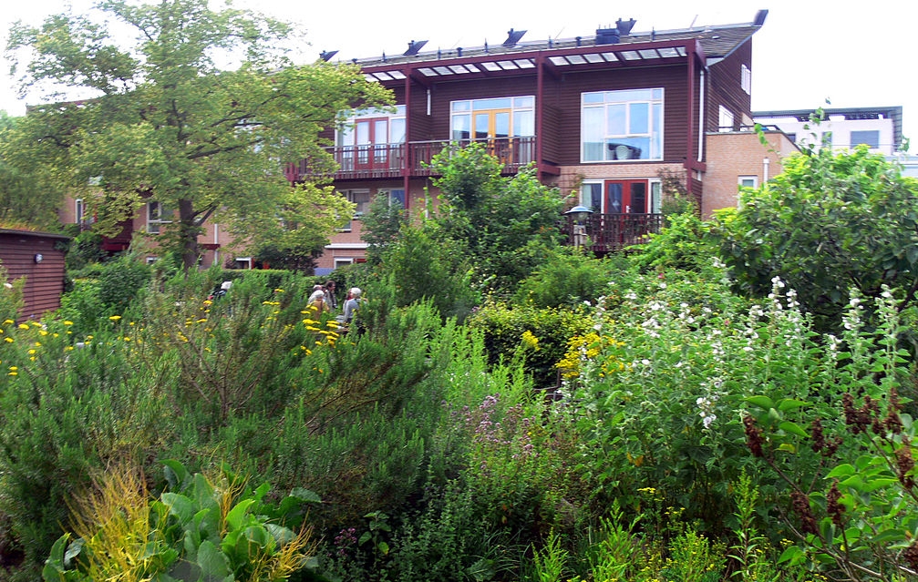 In our nature festival