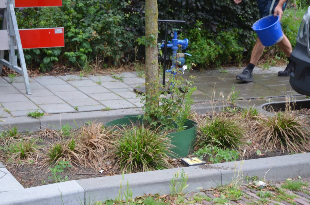 De raingarden biedt net als de wadi veel kansen voor Nederland