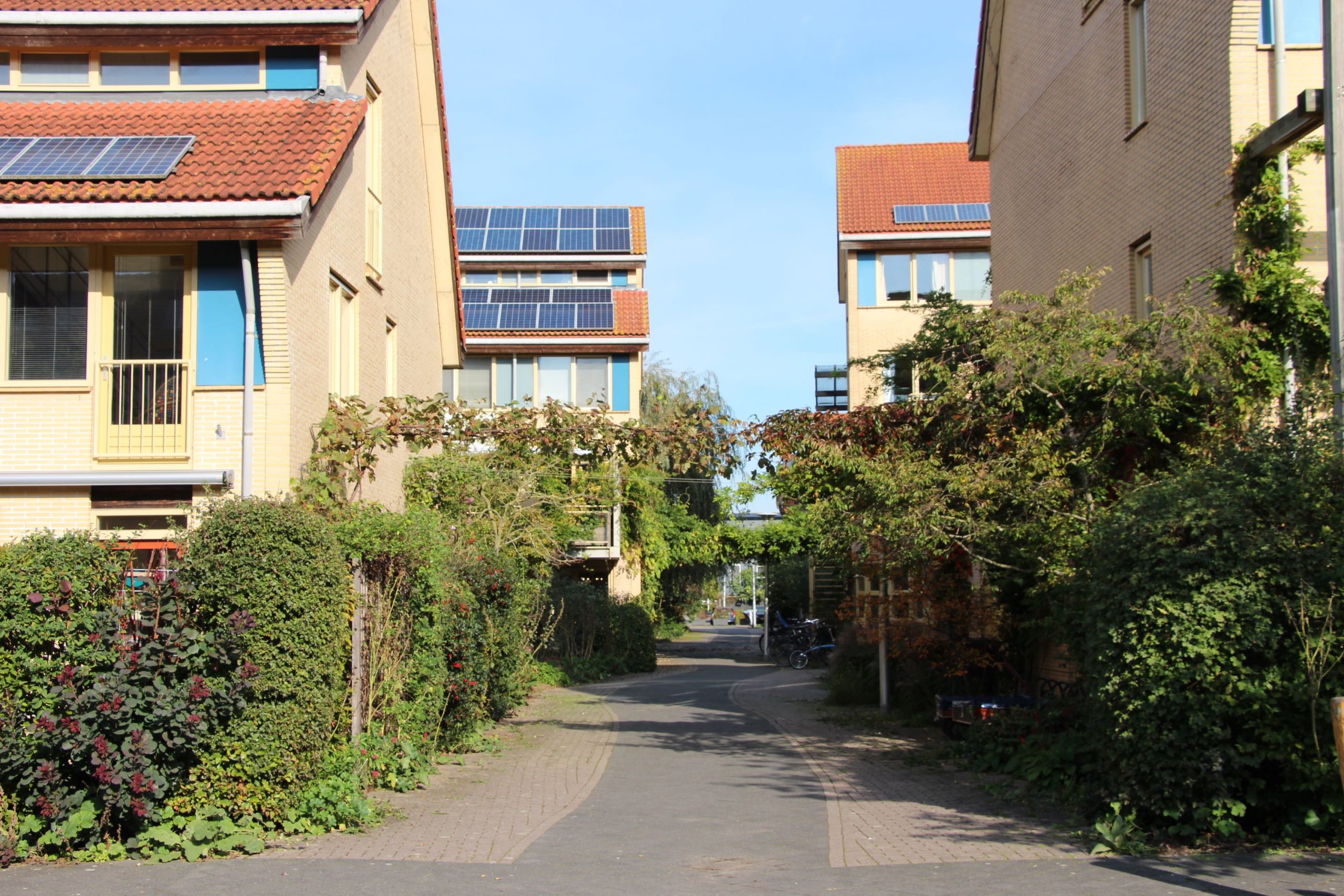 KAN Leertraject: De basis voor Natuurinclusief ontwikkelen