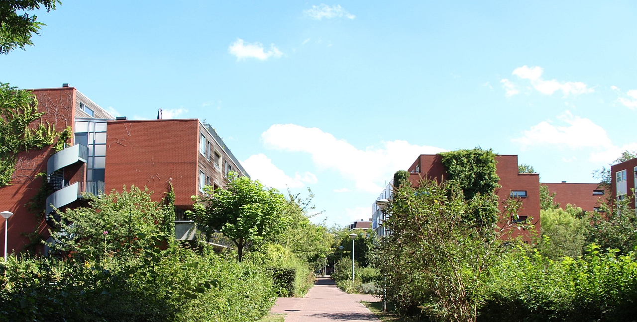 KAN Leertraject: De basis voor Natuurinclusief ontwikkelen