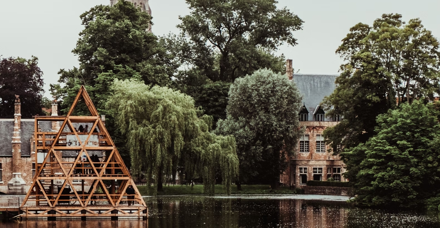 Onderzoek: liever één volwassen boom in je stad dan tien kleinere