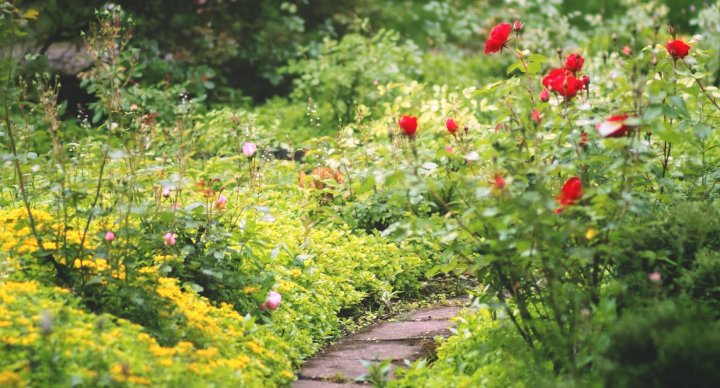 Hoe bouwpartijen hun bewoners verleiden de tuin te vergroenen