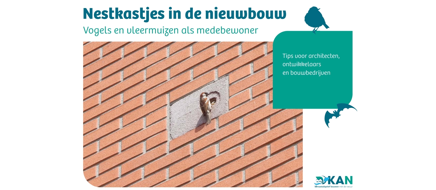 KAN-brochure ‘Nestkastjes in de nieuwbouw’