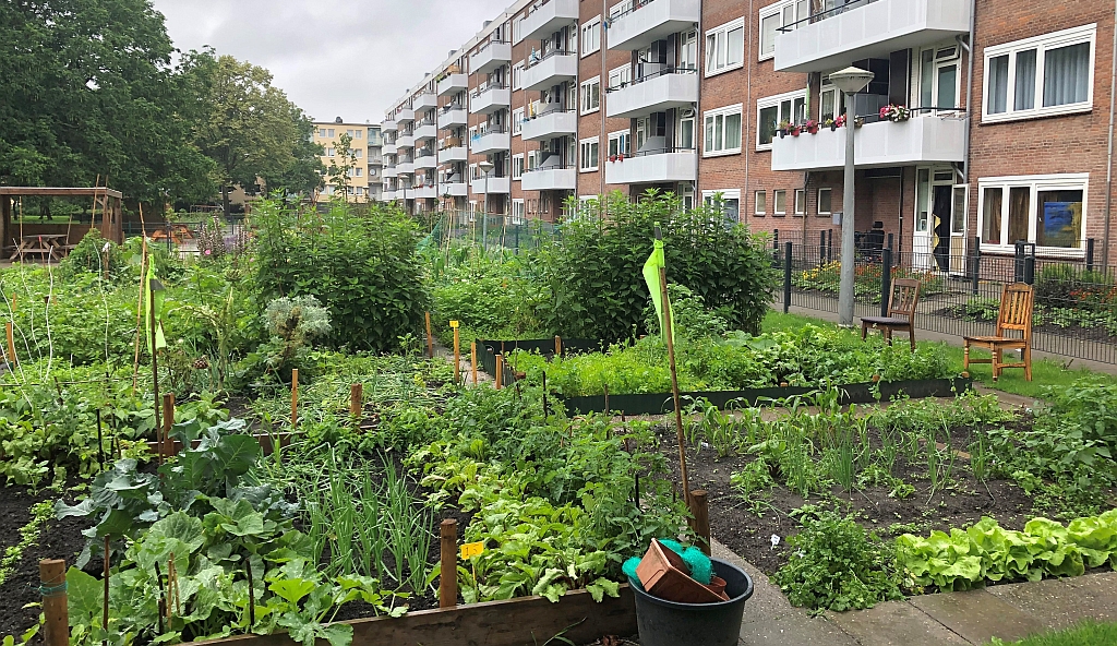 Communiceren over natuurinclusieve tuinen: 8 groene projecten en evenzoveel lessen