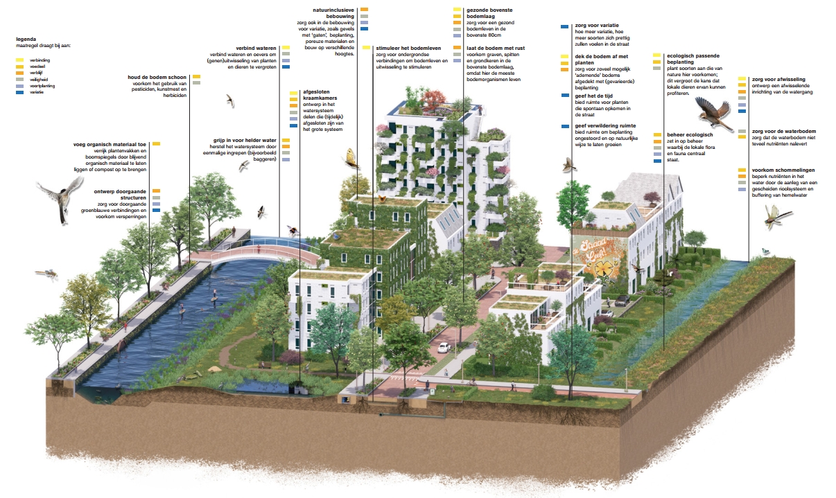 Straten als aanjager voor meer biodiversiteit