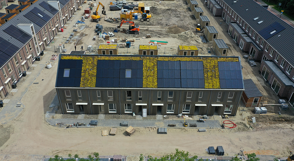 Nederlandse norm voor ontwerp, uitvoering en onderhoud van begroeide daken