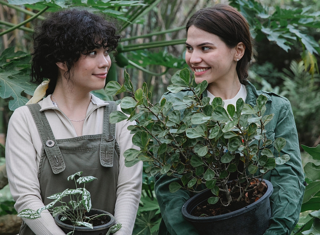 Bewoners verleiden tot natuurinclusieve tuin: zoveel mensen, zoveel wensen