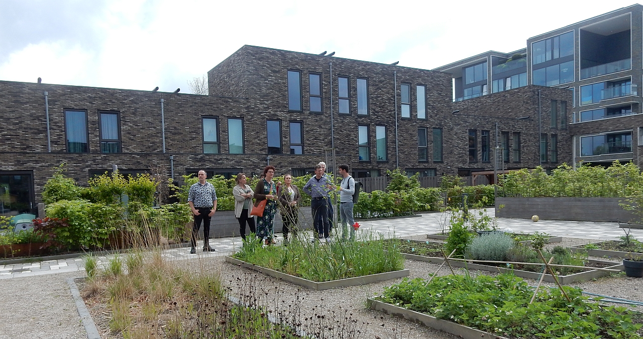 Binck Eiland: groene oase op niveau