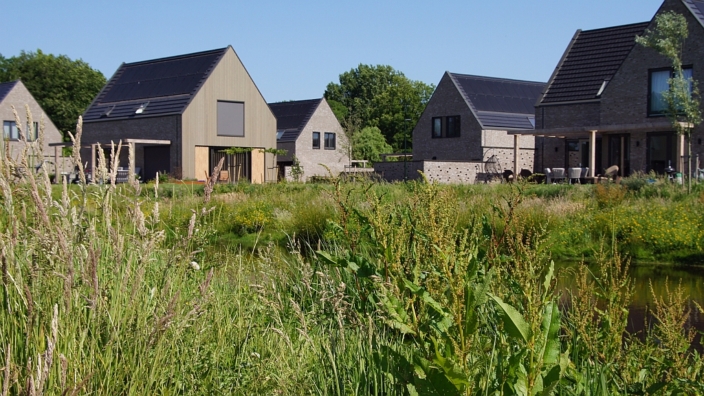 Blauwhoed geeft bewoners richtlijnen mee voor tuinontwerp