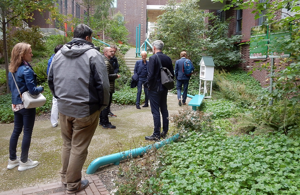 Stad en natuur vinden elkaar op De Groene Kaap