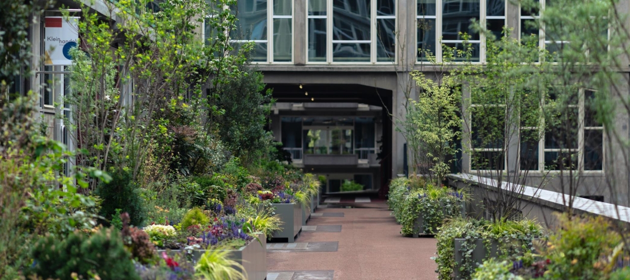 Collectieve binnentuinen: grip op kosten, baten en beheer