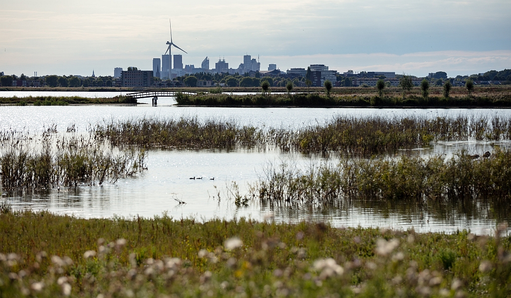 Rijkshandreiking helpt gemeenten met meer groen in de stad