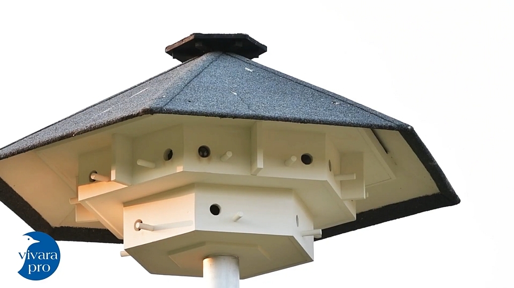 Nieuwe nestvoorzieningen: meerlaagse kraamkasten, mussentillen en zwaluwwanden