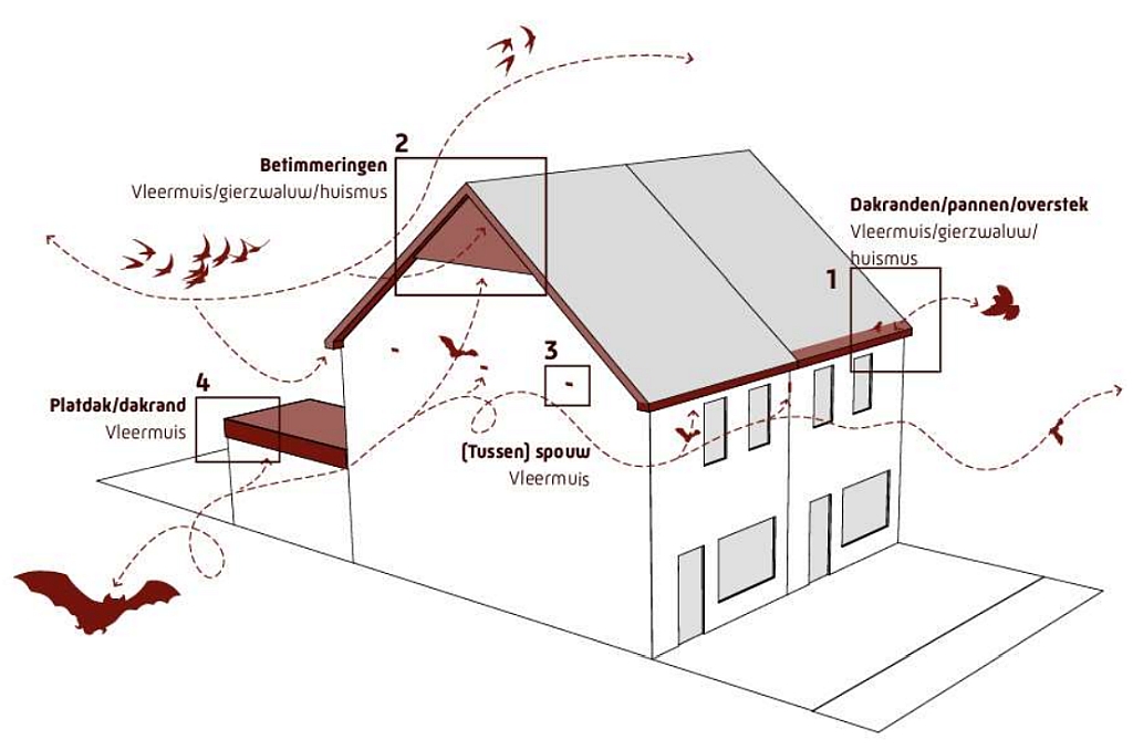 Vraag over dakgoot/pannendakdetail voor nestvoorzieningen beantwoord