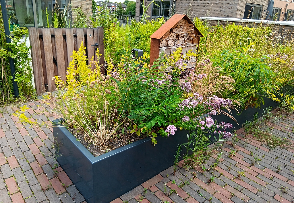 Dorps wonen in Leidsche Rijn