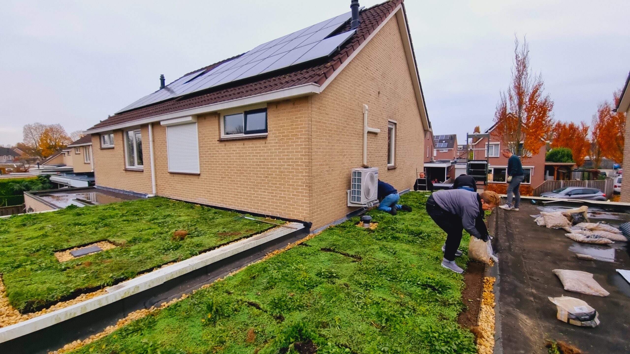 Dak in beeld als plek voor vergroening