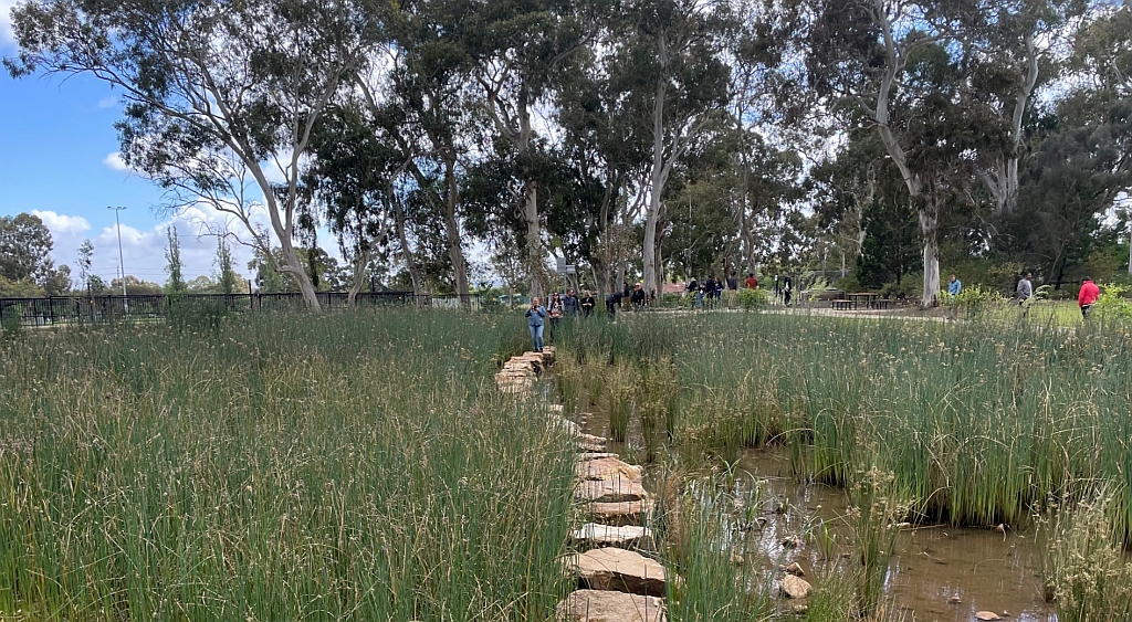 Doe es groot: ‘Bouw een helofytenfilter op gebiedsniveau’