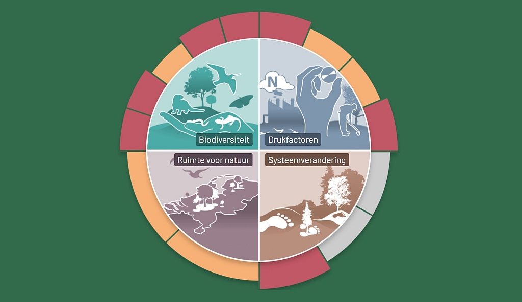 Naturalis: biodiversiteit onder druk, natuurdoelen raken uit zicht