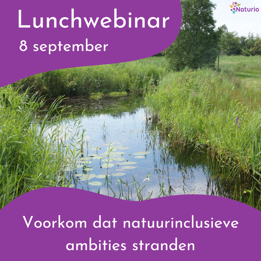 Hoe voorkom je dat natuurinclusieve ambities onderweg verloren gaan?